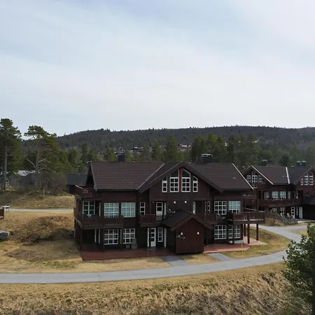 Spacious Near Nature And Slopes * Geilo